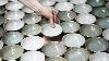 Mccarty's Vintage Pottery Bowls